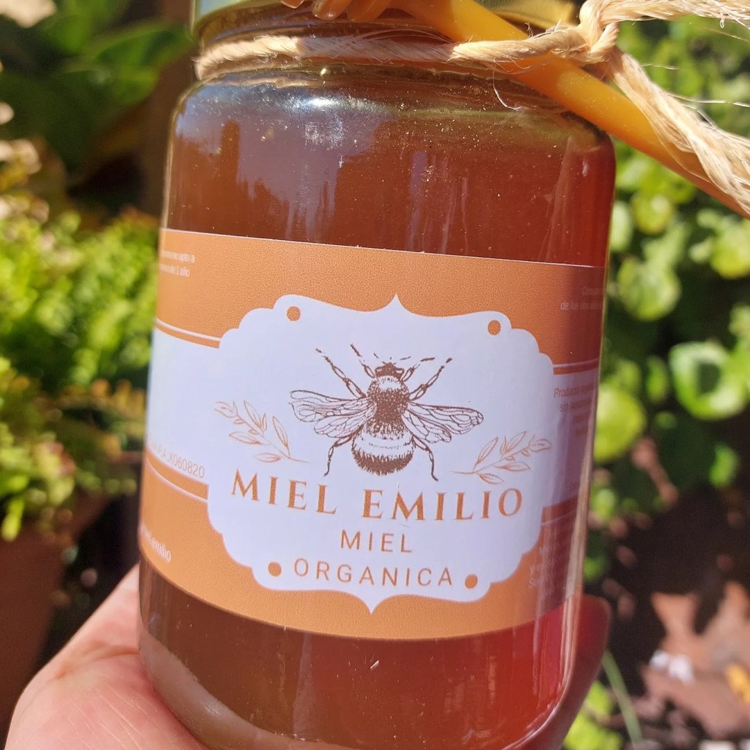 Miel Organica 500g
