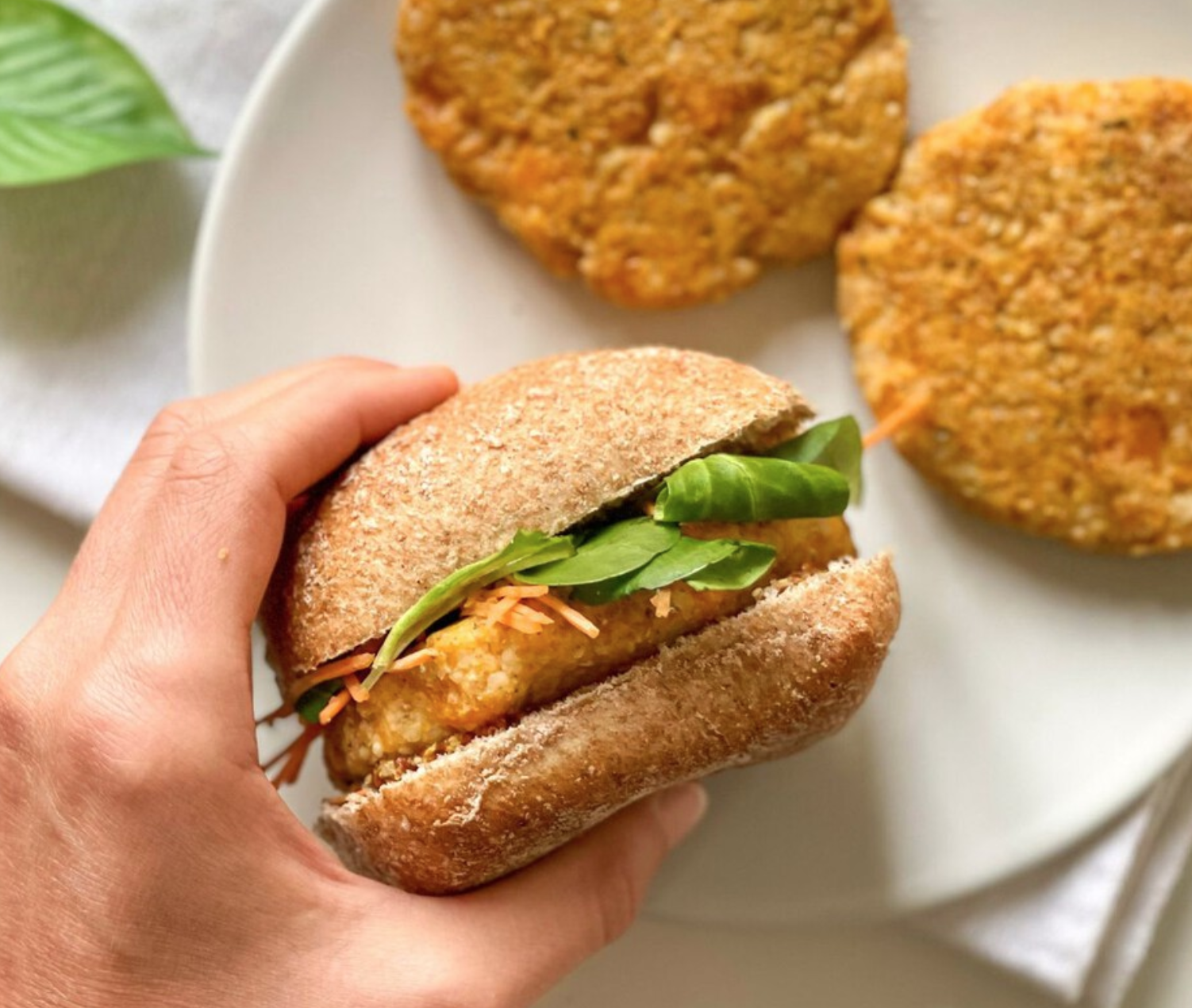 ⁠Pack 6 Medallones de Mijo